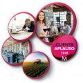 Cliente Aplauso 2018